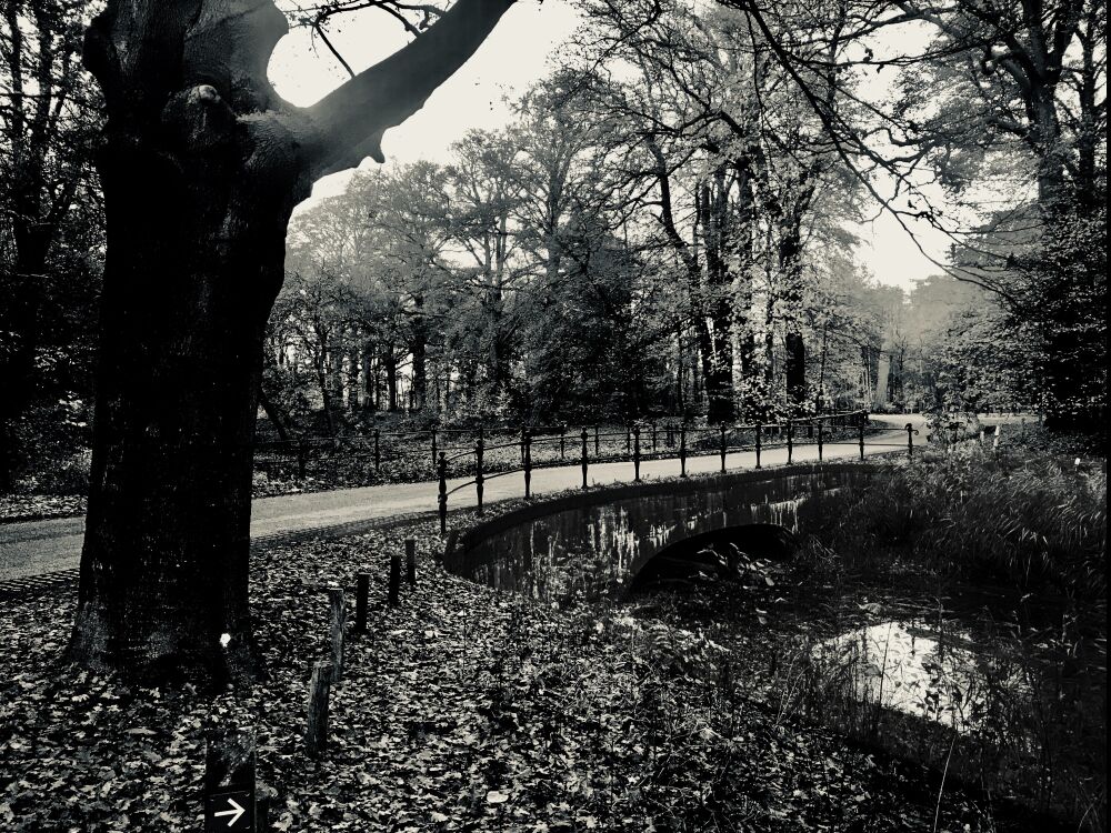 Leersum Park Broekhuizen Brug