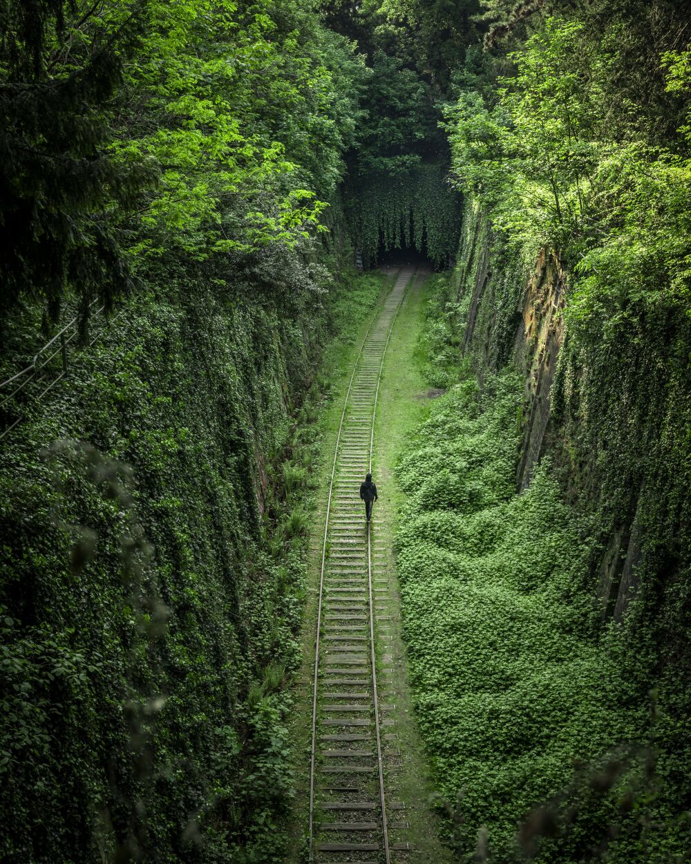 Petite Ceinture