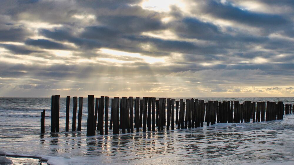 Pile heads Vlissingen