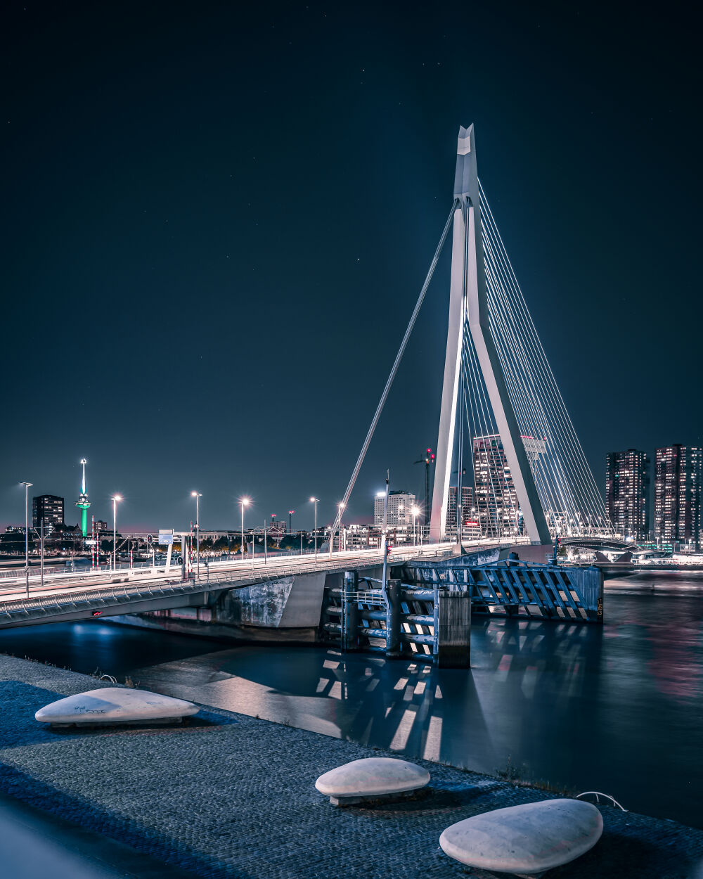 Erasmus Bridge 