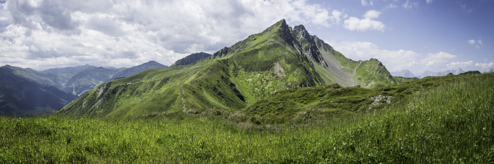 Groene Alpen