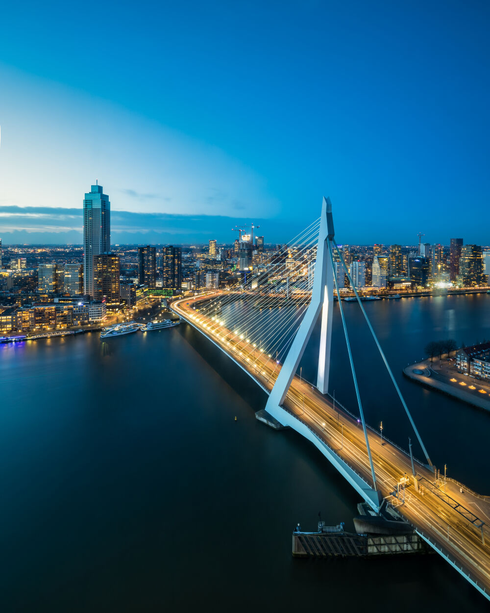 Zicht op de Erasmusbrug tijdens het blauwe uur