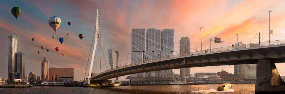 Rotterdam evenings