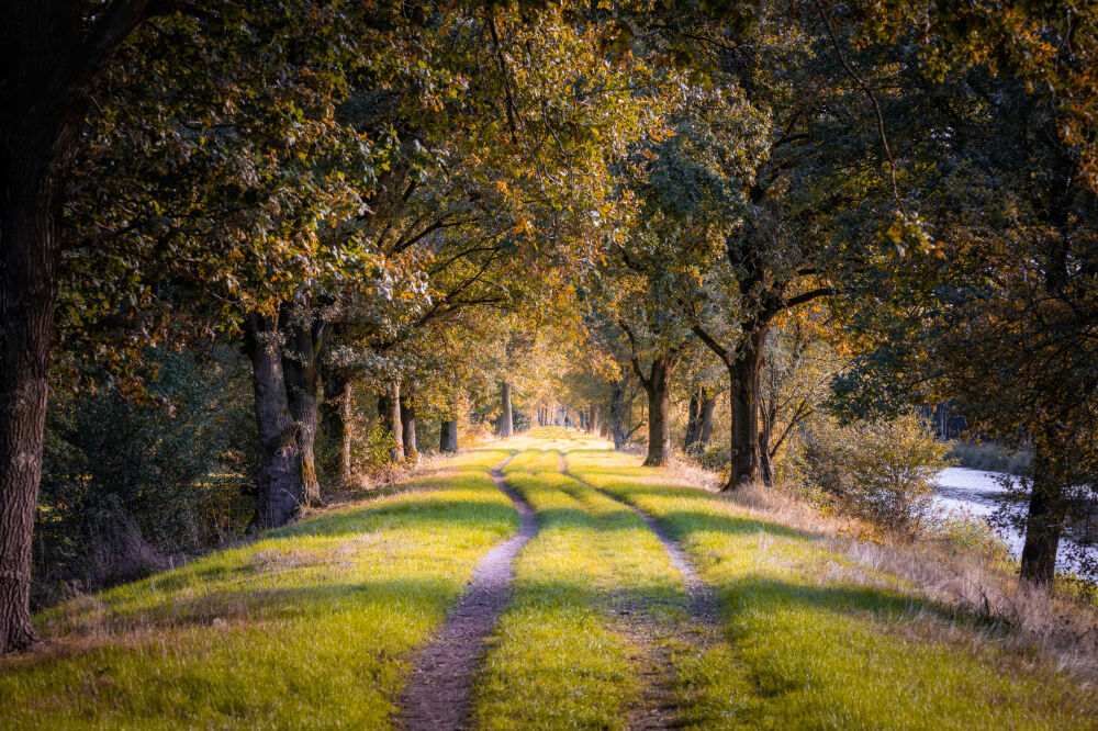 Herfst Baardwijkse Overlaat