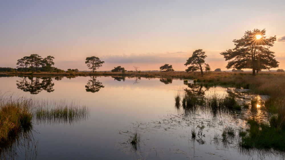 Natuurgebied Dwingelderveld Drenthe