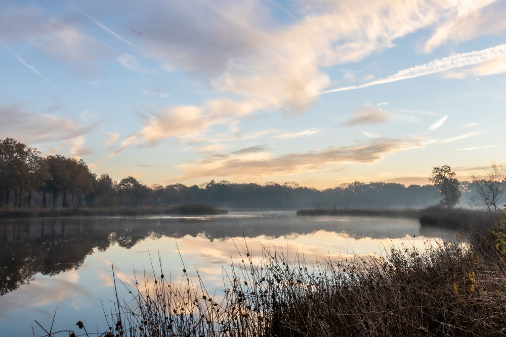 Weelde in het mooie Westerwolde