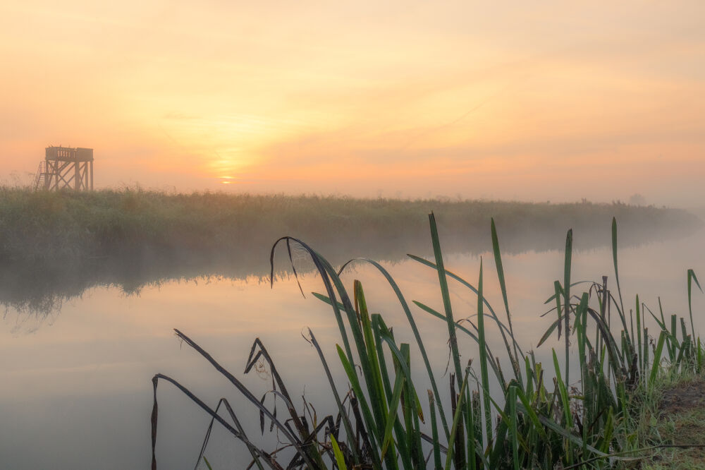 Zonsopkomst met mist aan het water