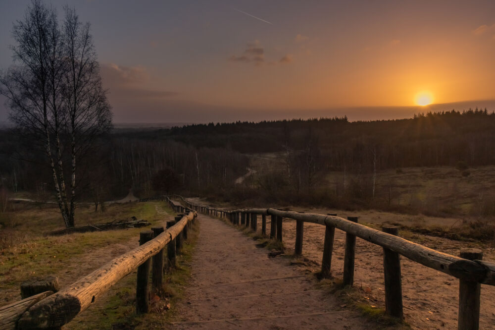 Zonsopkomst natuurgebied Kwintelooijen