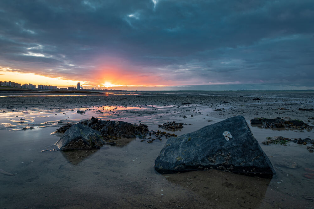 Aan de Westerschelde