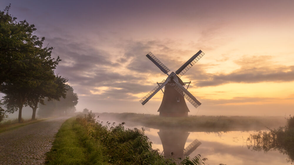 Krimstermolen/Phoenix in de mist