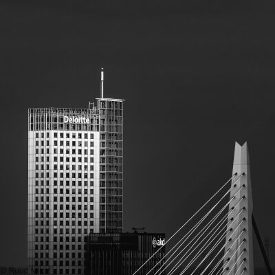 Rotterdam close up