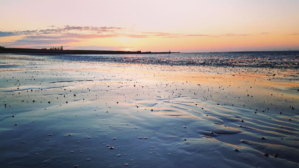 Strand Yerseke