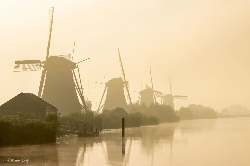 Kinderdijk in de mist