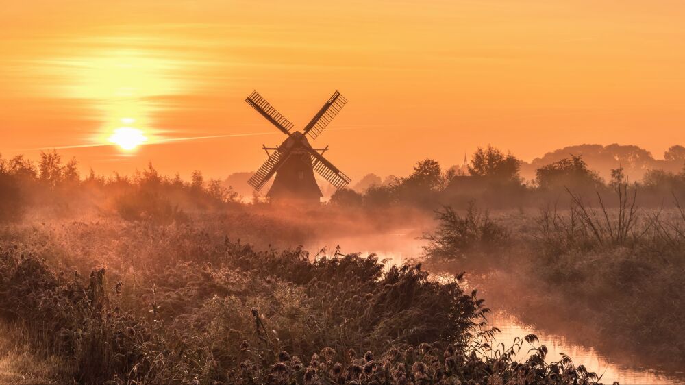 Noordermolen in de mist