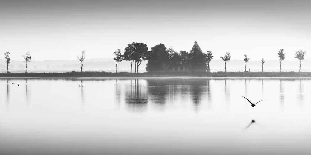 Natuurgebied 't Roegwold Groningen