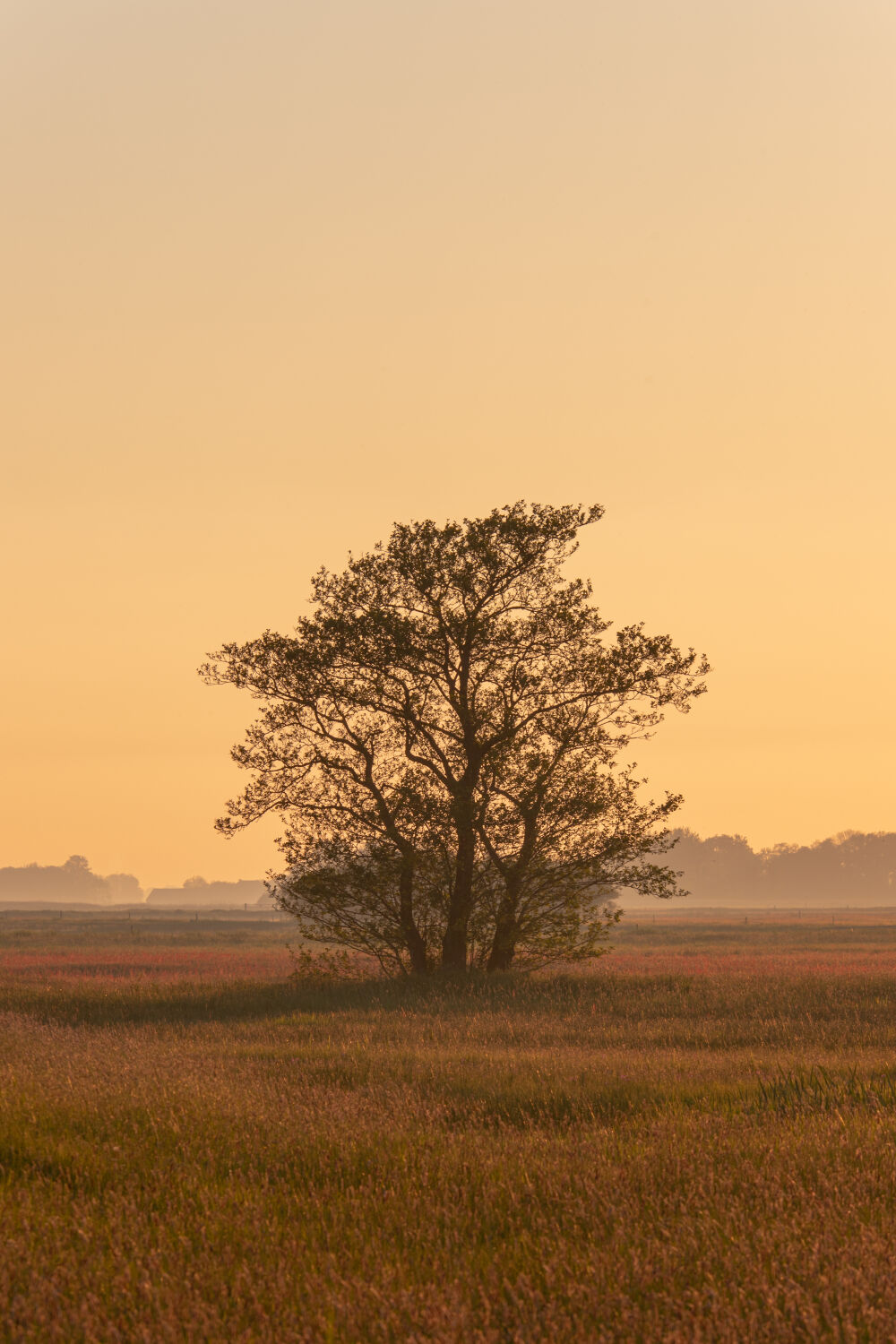 Simplisme Zonsondergang