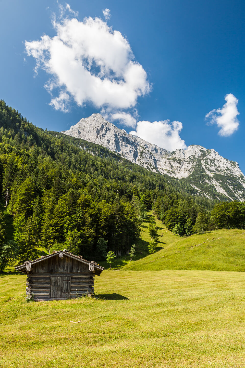 Swiss Alps