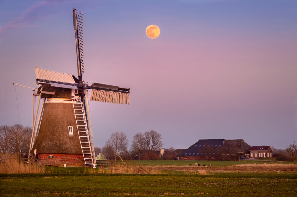 Molen Hoeksmeer Groningen