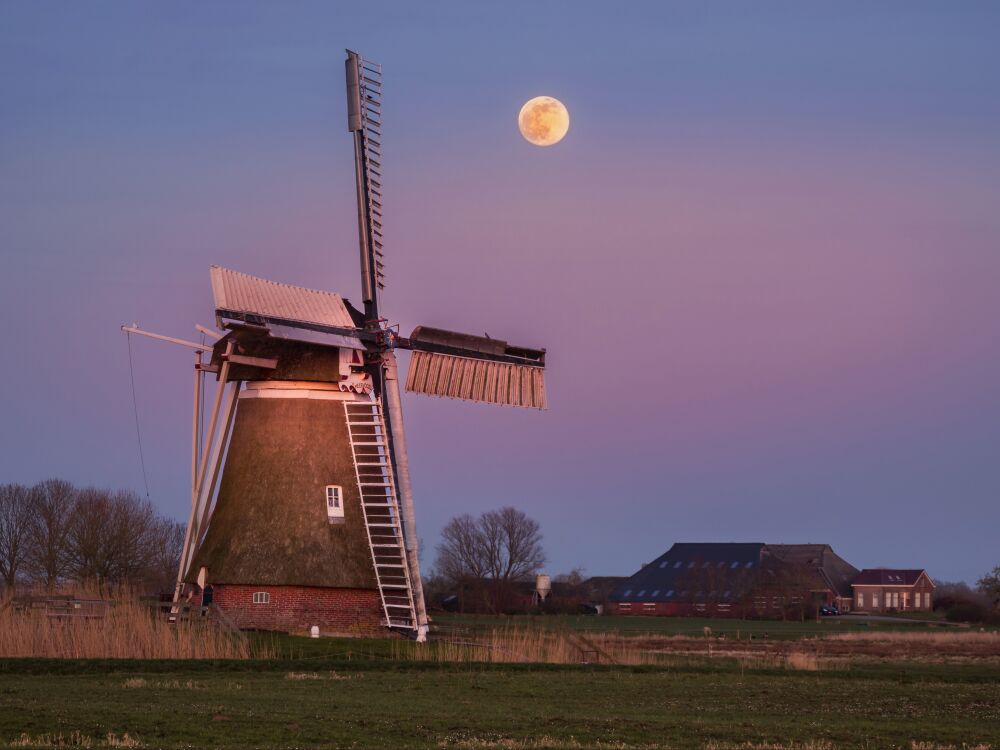 Molen Hoeksmeer Groningen