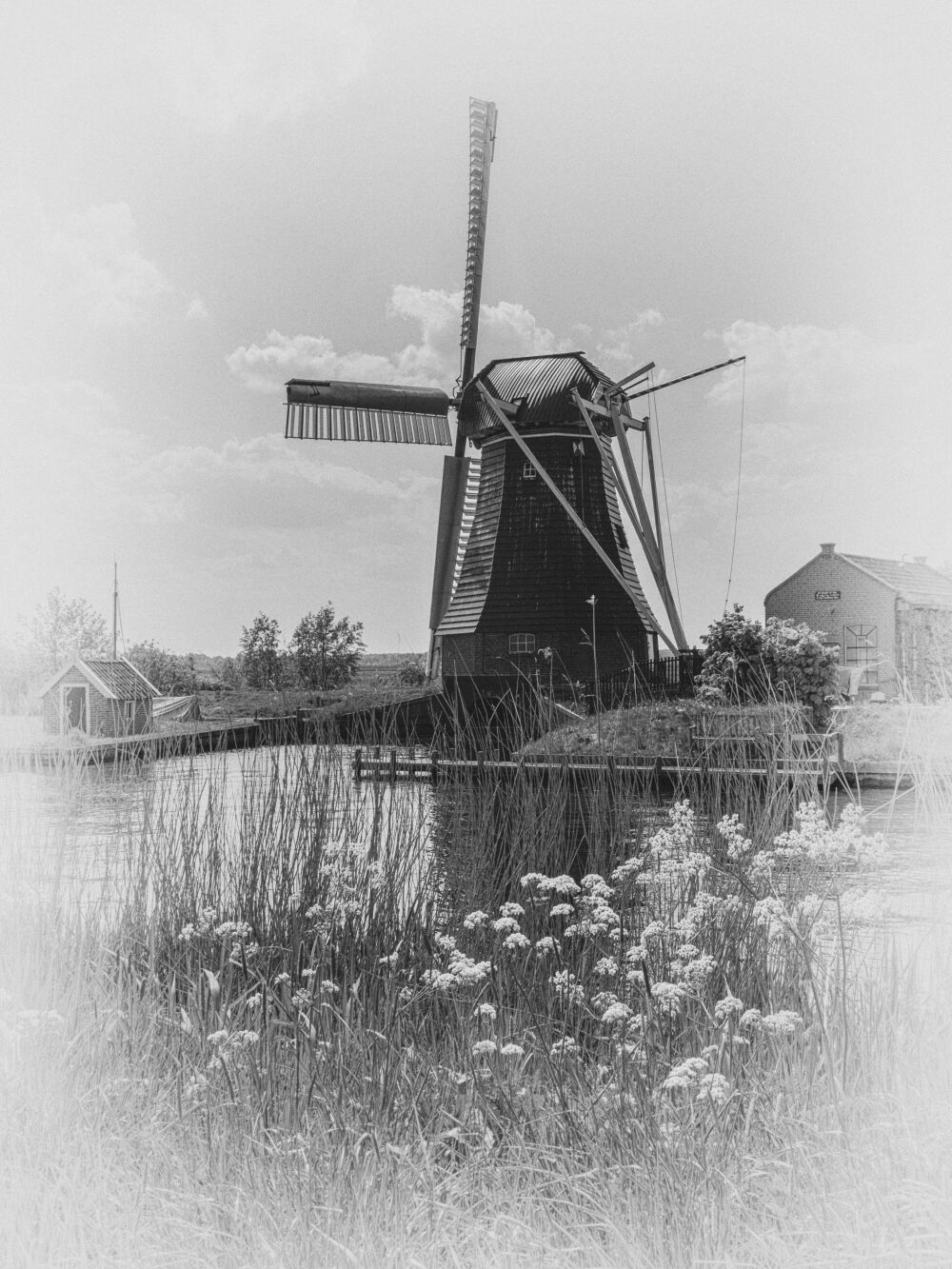 Molen de Biks