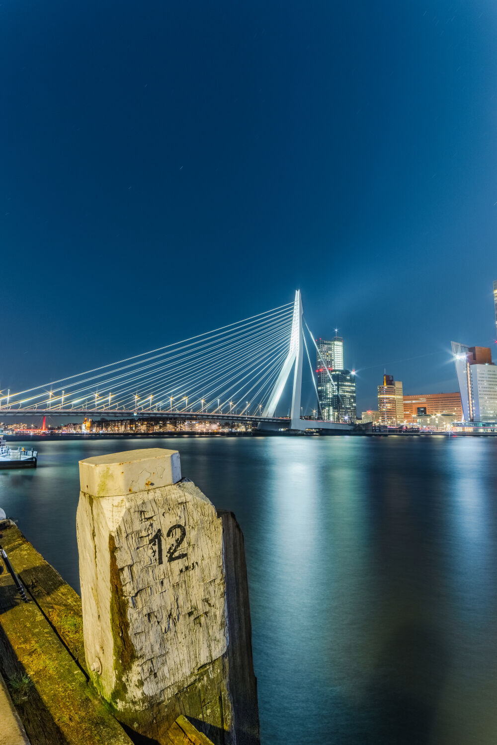 Erasmusbrug by night