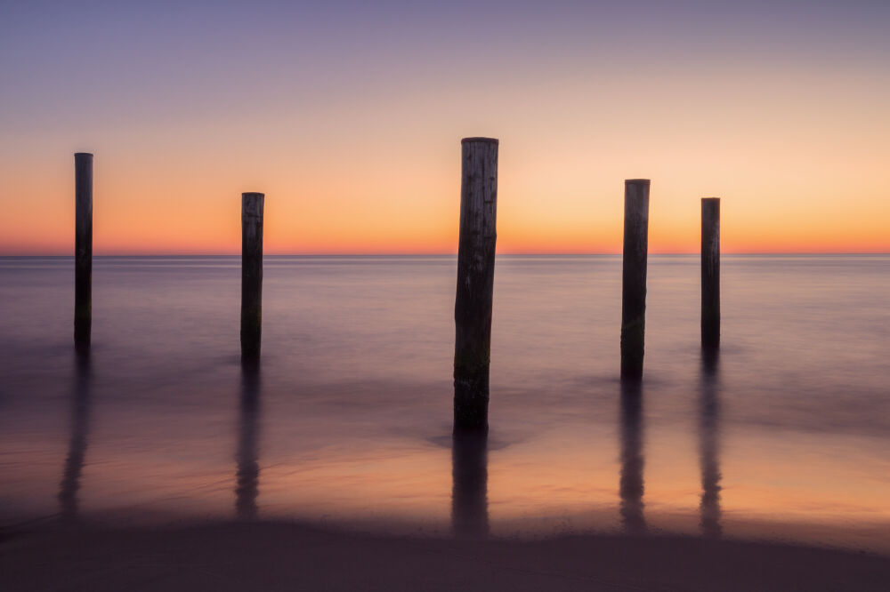 Palendorp Petten 