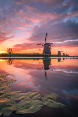 @mytruecolours - Colorful Kinderdijk