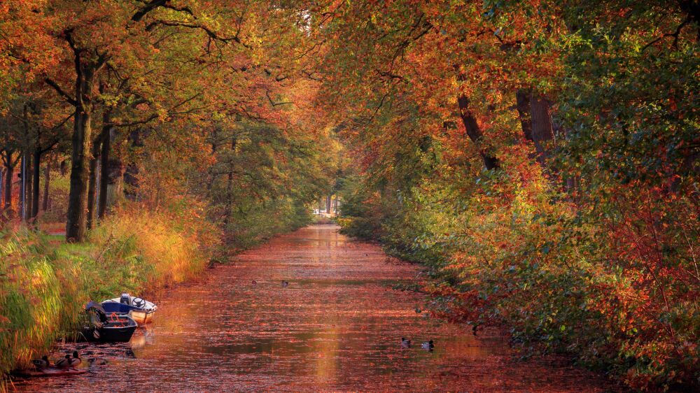 Herfstkleuren