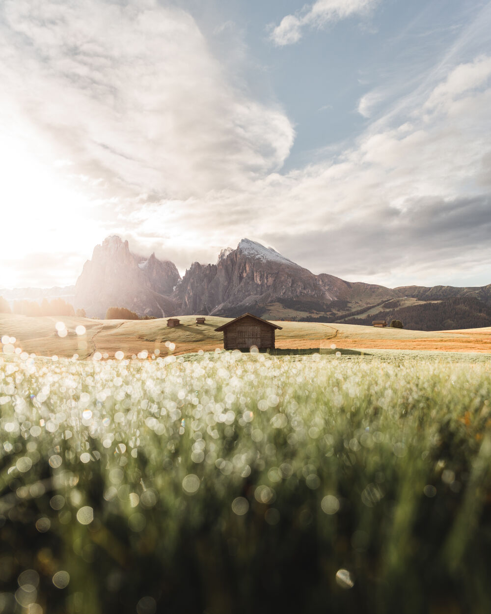 Alpe di Siusi