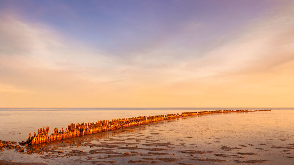 Aan het Wad bij Wierum