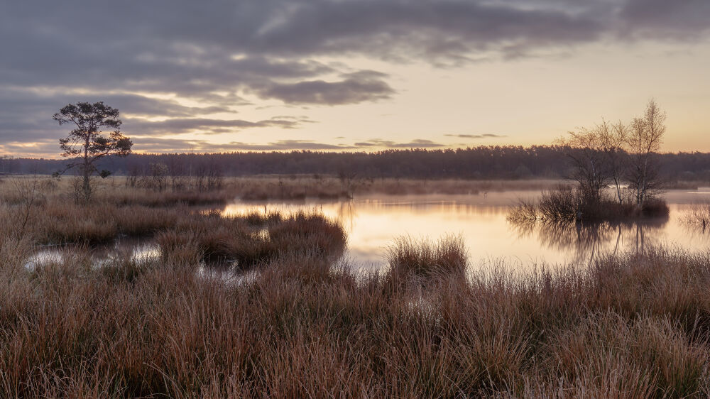 Holtveen Drenthe