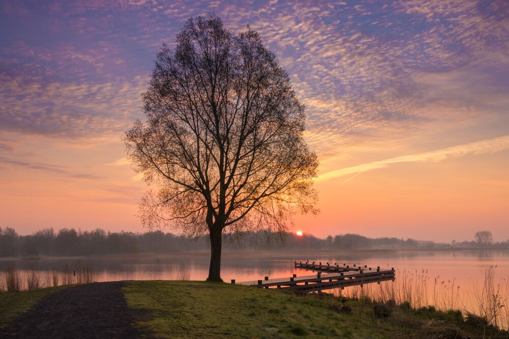 Zonsopkomst aan het Zuidlaardermeer