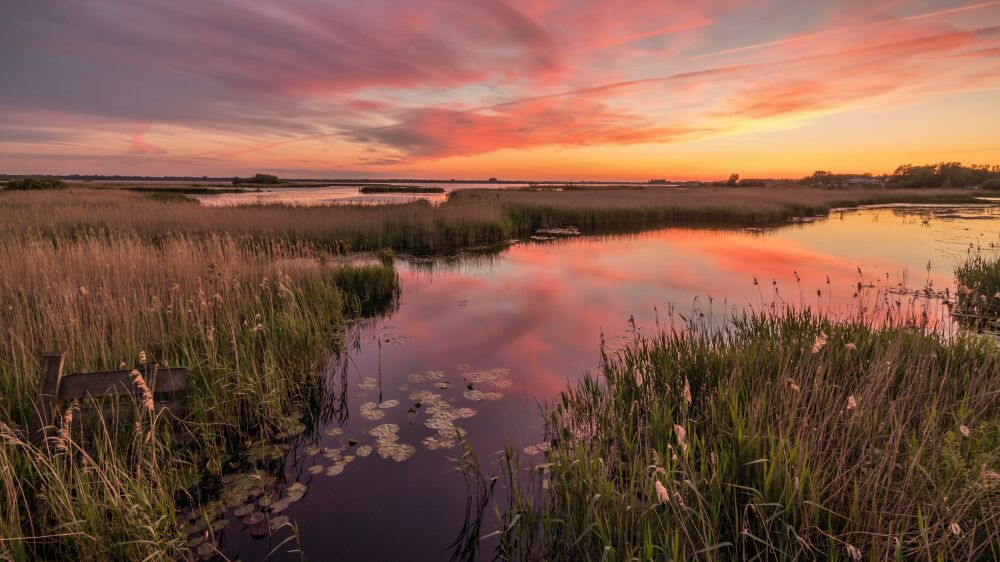 Zonsondergang aan het Zuidlaardermeer