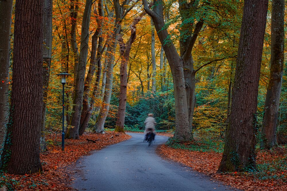 Fietser in de herfst