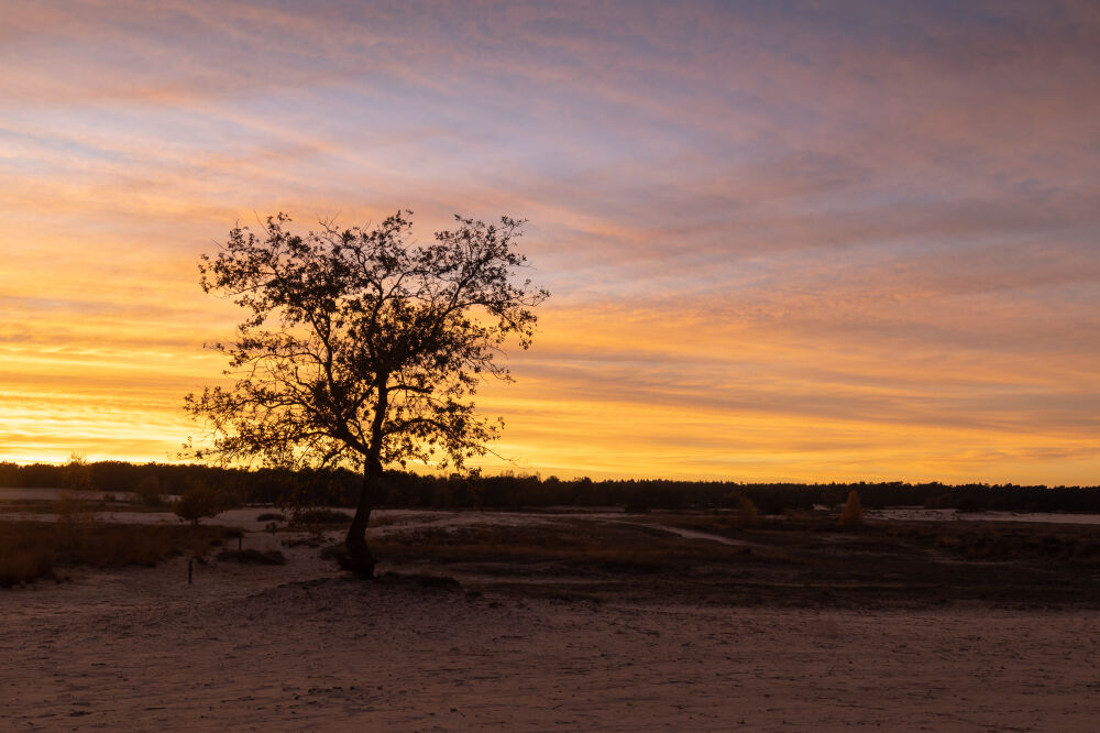 Best Sunset Ever Drunense Duinen