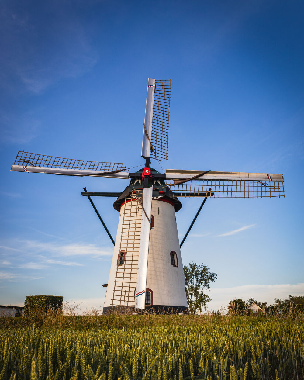 Witte Molen Meeuwen Holland