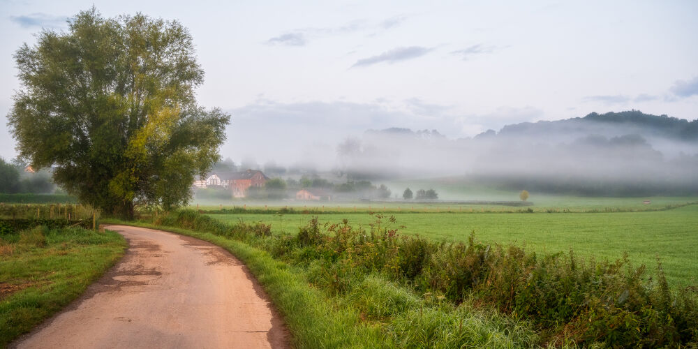 Tranquil morning