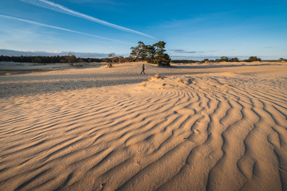 Lopend door het zand