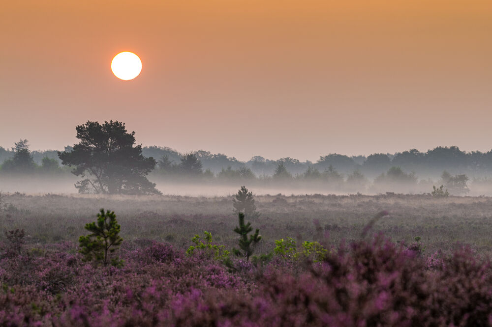 Landschap_004