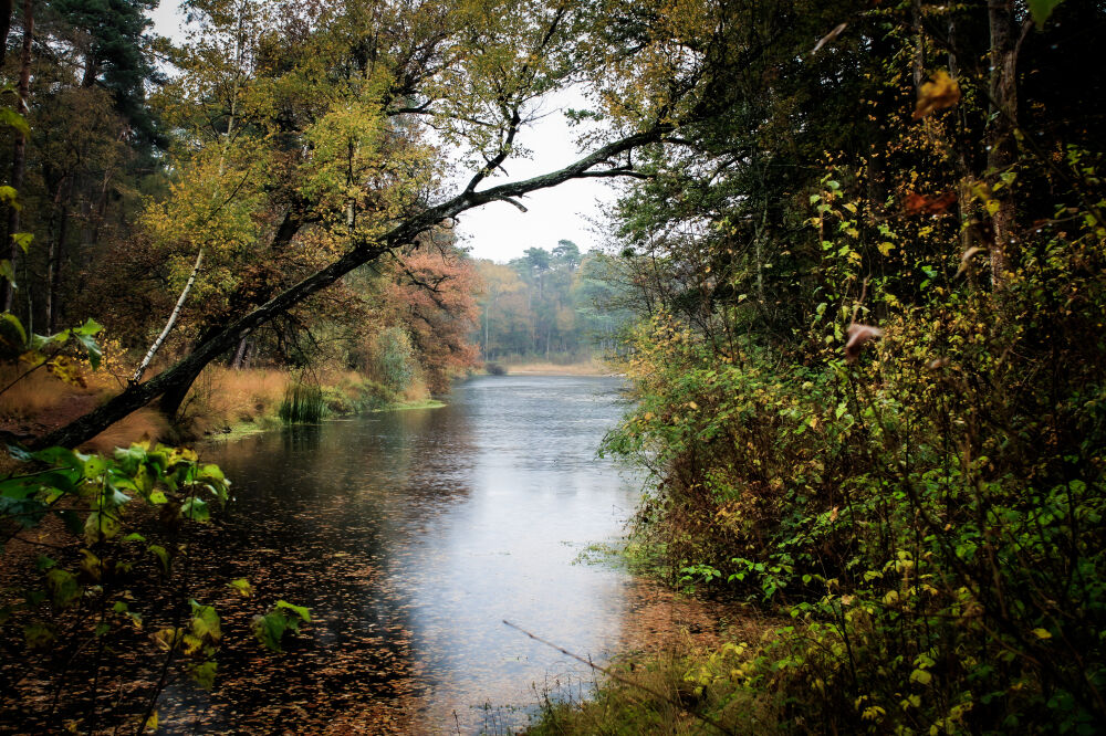 Natuur 