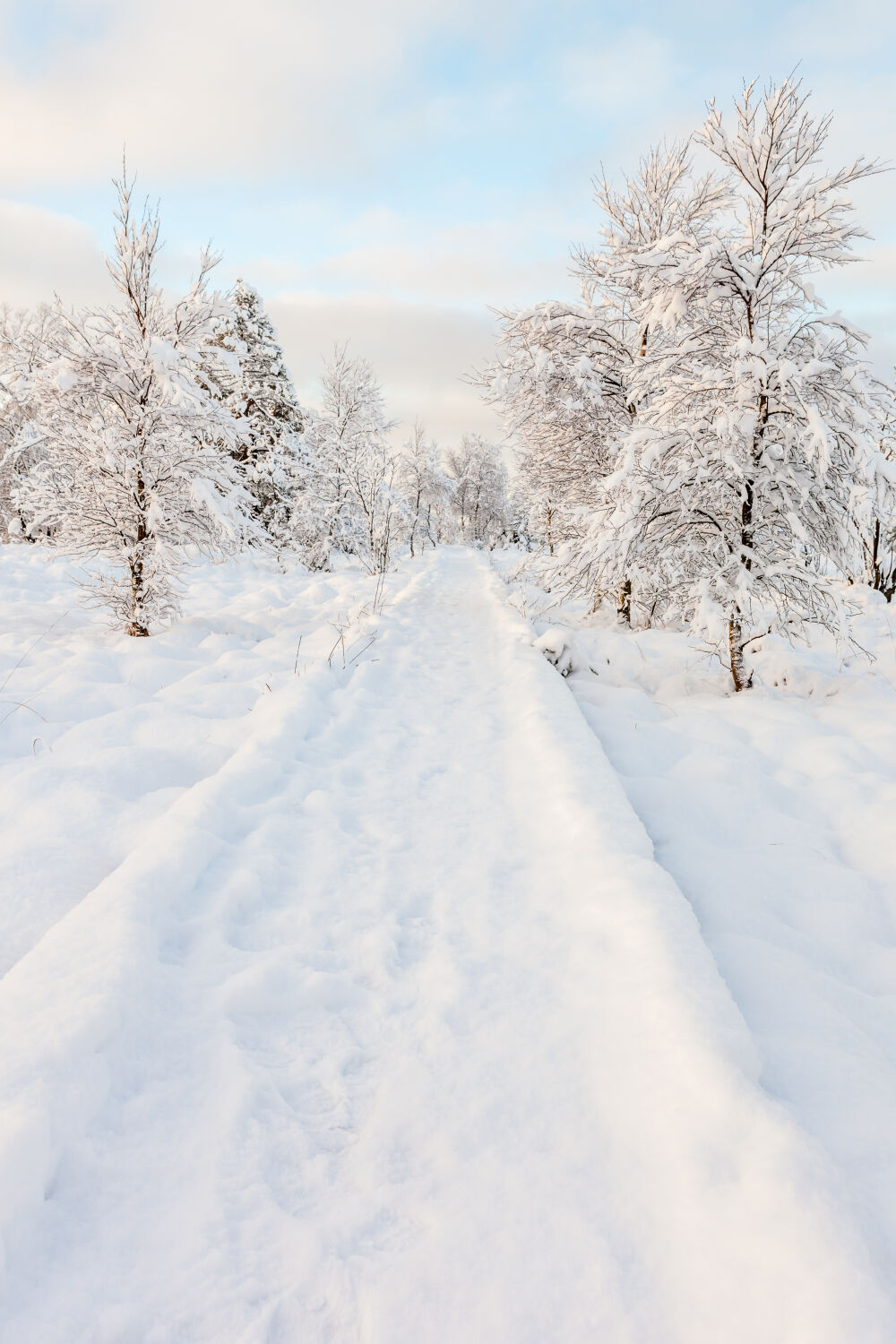 voetweg door de sneeuw