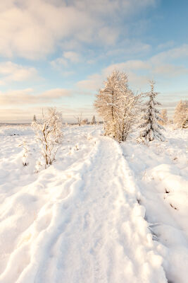 voetweg door de sneeuw