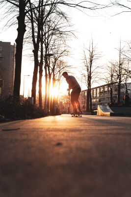 Sunset skateboard