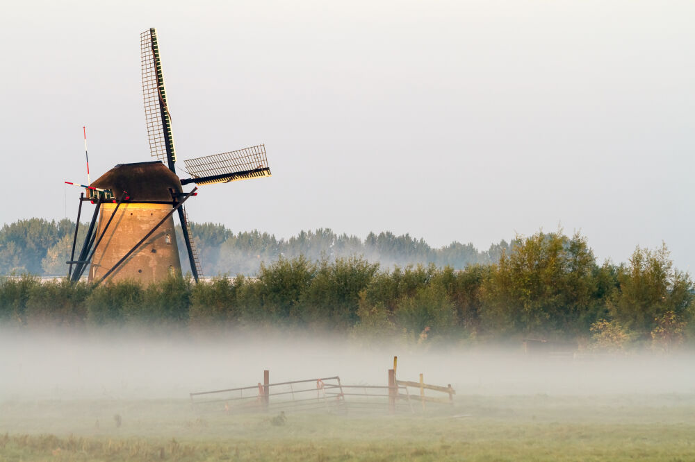 Kinderdijk in de mist