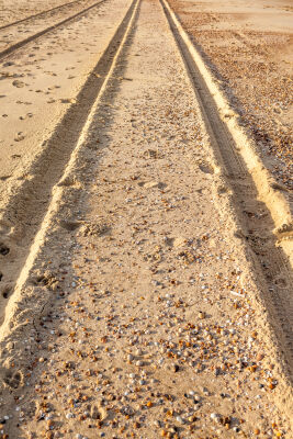 wielsporen in het zand aan de zee