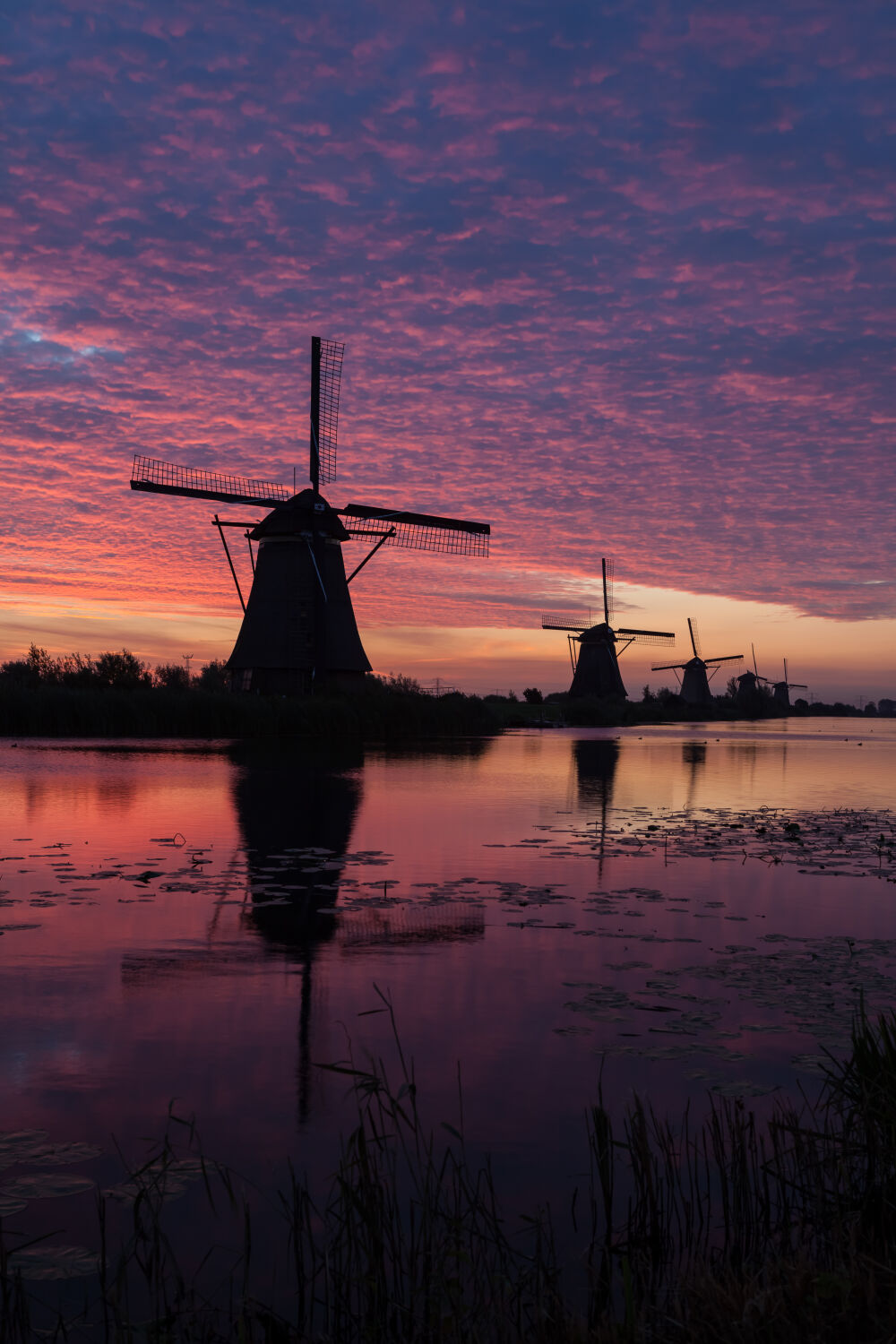 Kinderdijk met zonsopgang