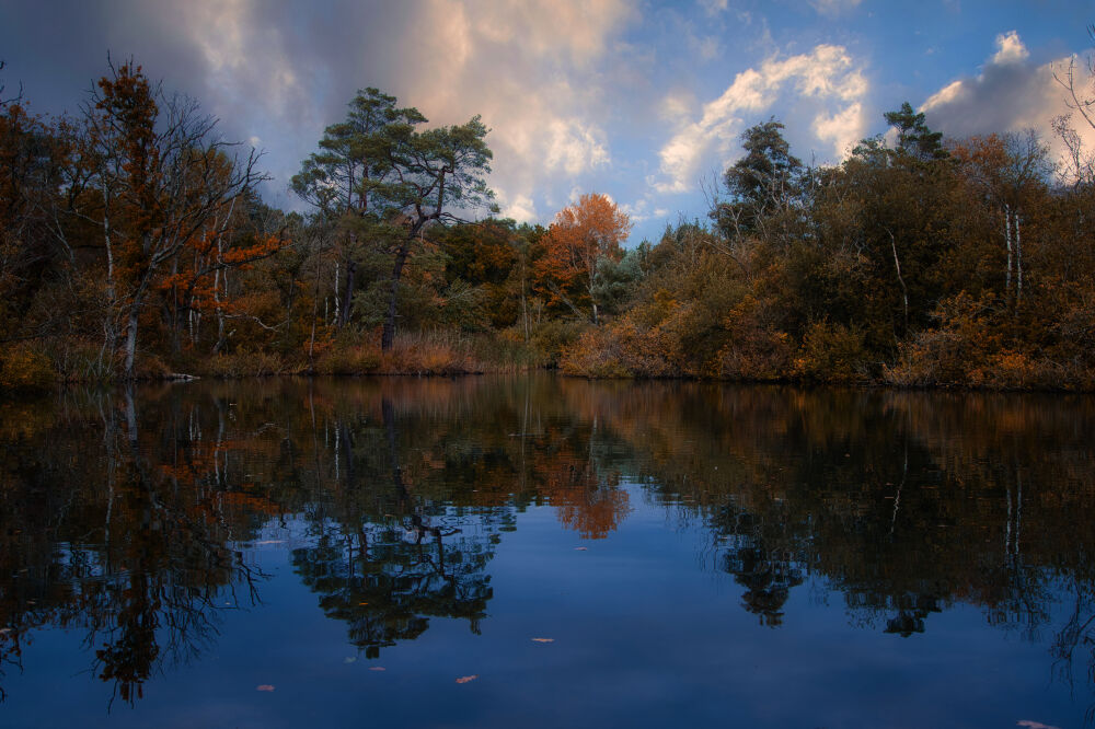 Herfst reflectie