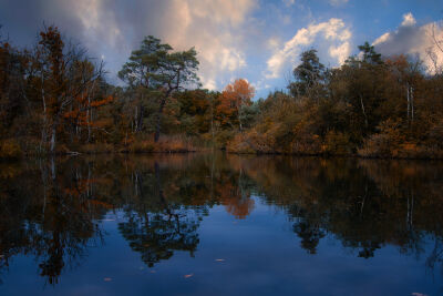 Herfst reflectie