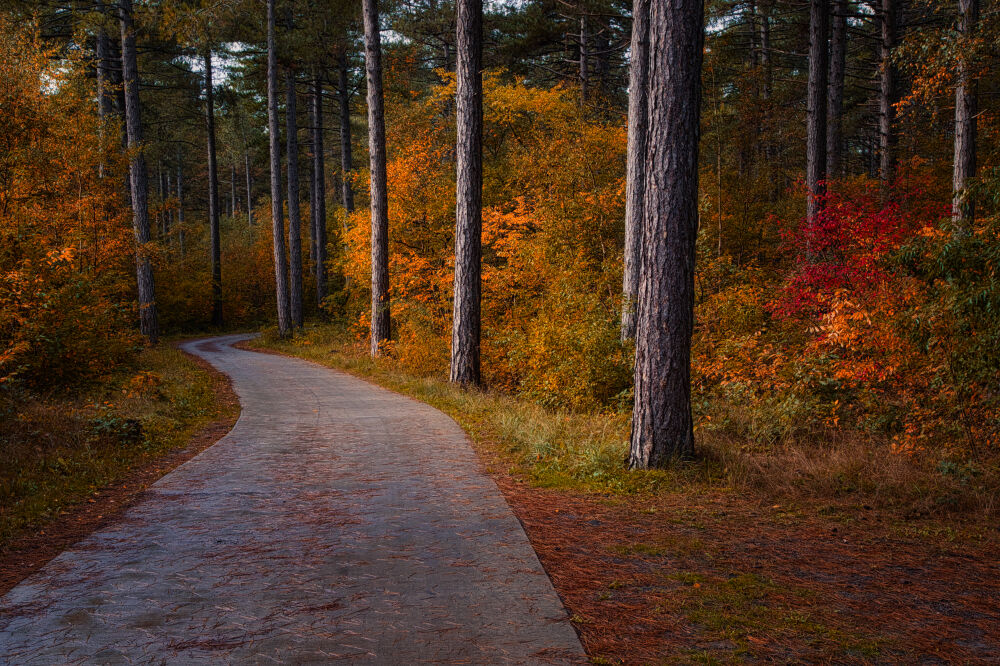 Fietspad door de herfst