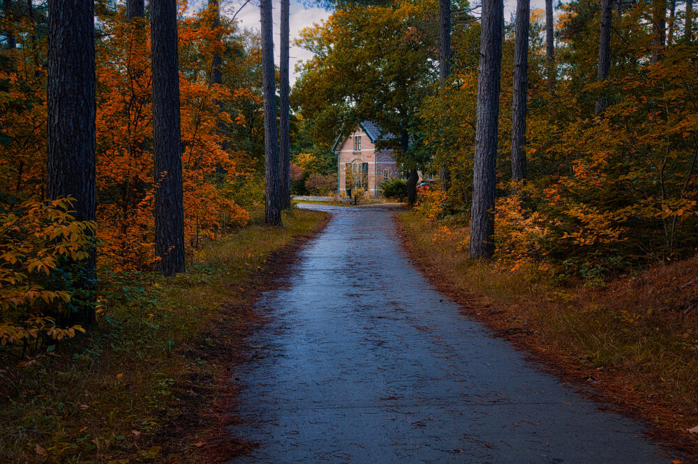 Klein huisje in herfstbos